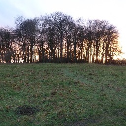 emmacarter22's profile picture. 