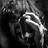 OigoFotos's profile image