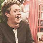 Directioner, Mixer, Lovatic & Sheerio ~ Met the boys in 2012 ~ I heard Niall's laugh in real life ~ They called me babe ~ I can't even
