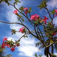 de Magister (@demagister) 's Twitter Profile