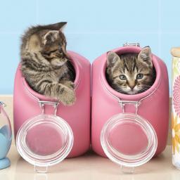 Team_Adela's profile picture. Página dedicada a comentar sobre la novela de MTV niñas mal. Especialmente de Adela y Nacho. =) ♥