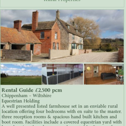 FoxGreenLets's profile picture. 