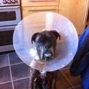 Richard Whitmore - @ricky_whitmore - Twitter