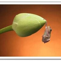 Cowboyfan2012 (@love_fantroy) 's Twitter Profile