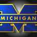 Go Blue in Texas (@shoelaceheisman) Twitter profile photo