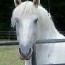 Denise Bratcher - @DeniseBratcher1 - Twitter