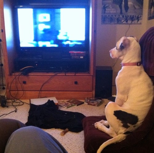 jaybob3553's profile picture. 