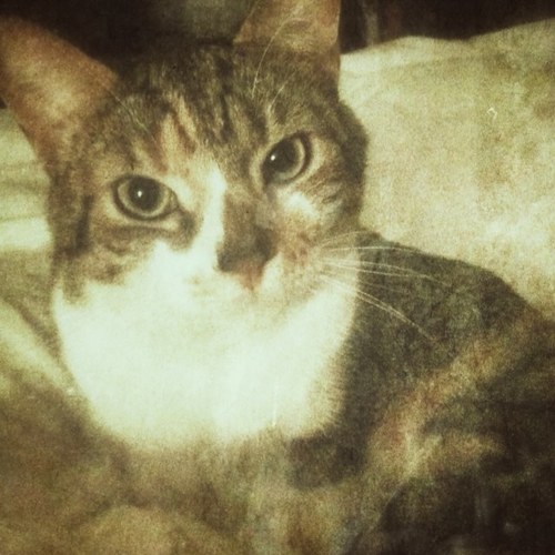 m_sepia's profile picture. 