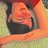 DZFlamingTurtle's profile image