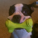 Scott Baugh - @Scott_Baugh - Twitter