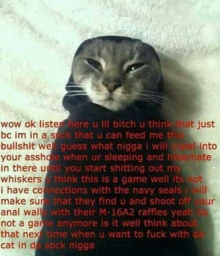 tumblr: niallijustcant ill follow back (: | chinny chin chin~
