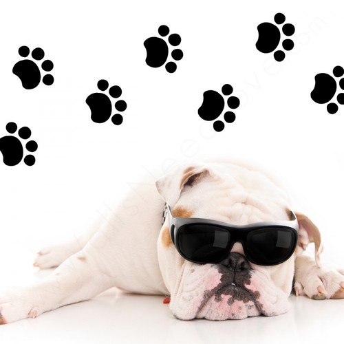 PamperedPawsbyJ's profile picture. Pampered Paws by Jackie!
Location : South Florida