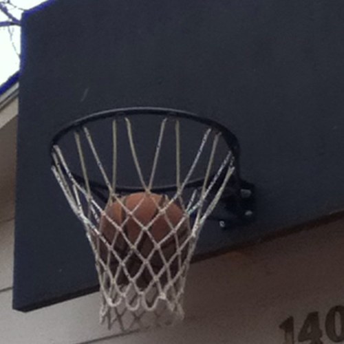 jaxton97's profile picture. 