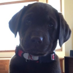 The Biggest Baby Ever