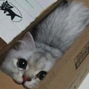 Abby Preece - @Dogs_And_Food - Twitter