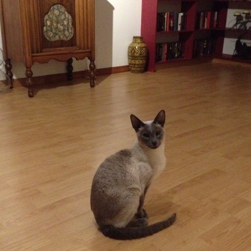 EclecticreaderN's profile picture. 