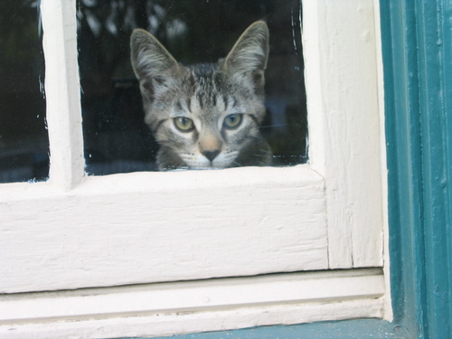 bigbigcheezie's profile picture. 