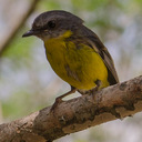 Jack Medley - @loosenuts2 - Twitter