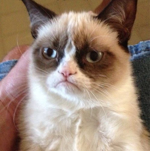 Blade4389's profile picture. 