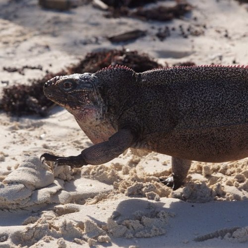 brooks_delaney's profile picture. 