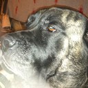 Robert Buscher - @smokedfishy - Twitter