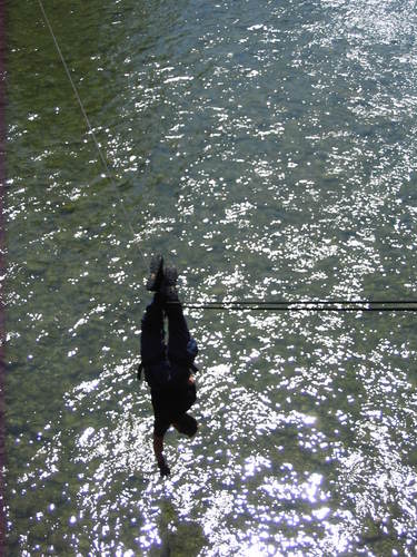 KJDTactical's profile picture. 