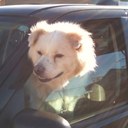 Tammy Estes - @nowwegetit - Twitter