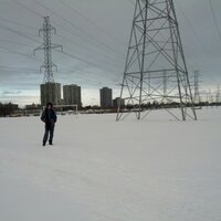 Tyler Seed (@theseedplant) 's Twitter Profile Photo