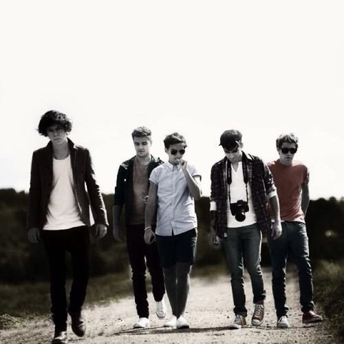 Im not famous or anything but a true One Direction fan from the very beginning I love and support all 5 boys (: **Live While We're Young**