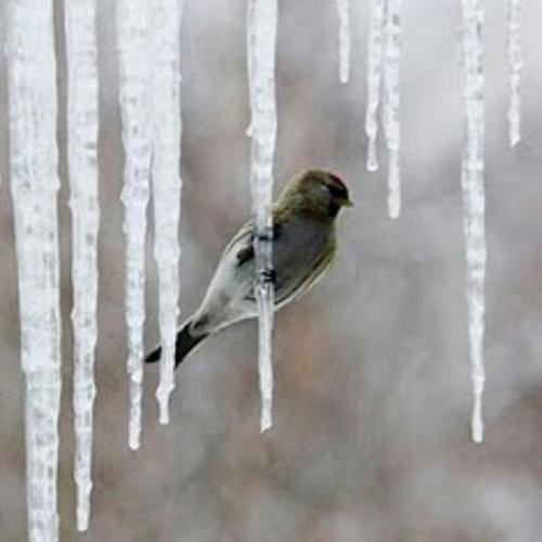 bl8ees_'s profile picture. حكمتي في الحياة  أن تصل متأخراً ، خير من أن لا تصل