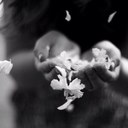 أرجُوآن (@0rjwan) Twitter