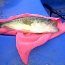 Raymond Currie - @raymondcurrie - Twitter