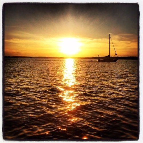 daisyphotograp's profile picture. 