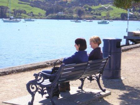 AnnettCummings's profile picture. Interests: Green, Gardening - Bromeliads. Innovation, social change, chocolate, traditional stories the gaining of wisdom.