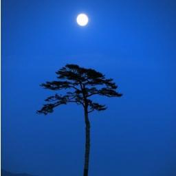 Philosophers have hitherto only interpreted the world in various ways; the point is to change it. 철학자들은 세계를 다양한 방식으로 '해석'했지만, 중요한 것은 세계를 '변혁'하는 것이다.