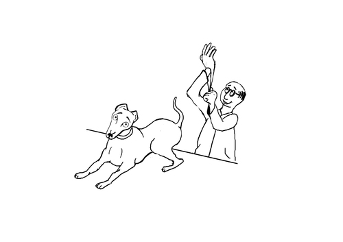 Letters from BS is a funny book...now working on the Audio Book
