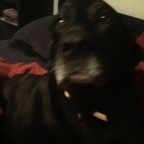 jeffdownesinc's profile picture. 