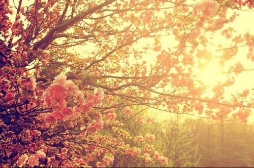 Bibi199's profile picture. 