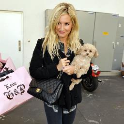 AddiesBackupEPA's profile picture. 