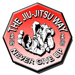 Our mission is to help promote the Martial Art of Traditional Ju Jutsu and Brazilian Jiu-Jitsu and the benefits that go along with training.