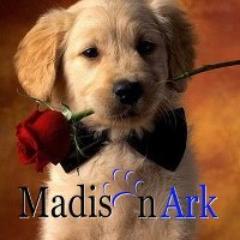 madisonARK's profile picture. Madison Ark (Animal Recue Kennel) is a foster network and compassionate No Kill rescue for homeless animals serving the Jackson MS tri-county area.