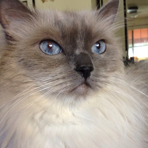 wrexzee's profile picture. just sounding off