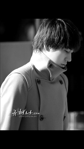 뱀파이어 하우스 마법사 조규현입니다. 리밋계정 @KyuHyun_2_VPH [parody account] / I'm not real KyuHyun. / 110515~130615 뱀파이어하우스 활동정지