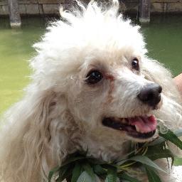 yurouwanzi's profile picture. 