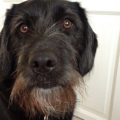 greenpeel1969's profile image
