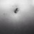 wndl2's profile image