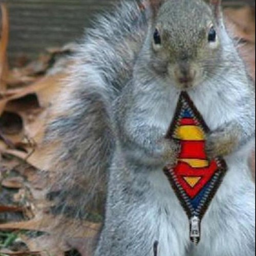 MammyAmore's profile picture. Mammy Amore. A mammy and so much more, we adore our mammys - get ready to spoil yourself rotten.