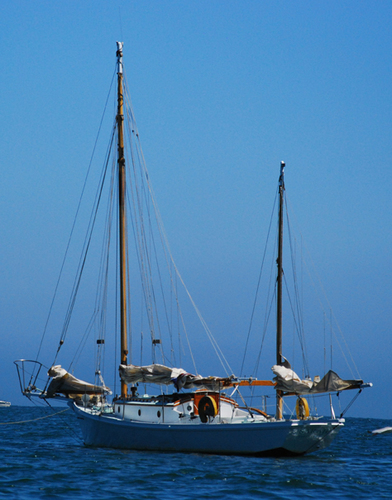 We run sailing charters aboard our classic gaff rigged sailing yacht. Join our team! Learn to sail then sail for free as unpaid crew.