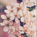 고맙습니다♥ (@0227kmk) Twitter