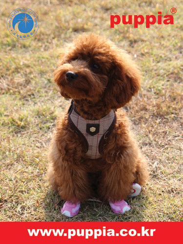 ペット洋服、ハーネス、リード、ハウス、ベッドならPUPPIA&PINKAHOLIC  猫用品ブランドCATSPIA　// e-mail : japan@epup.co.kr　// LINE : puppia-jp // skype : japan_puppia